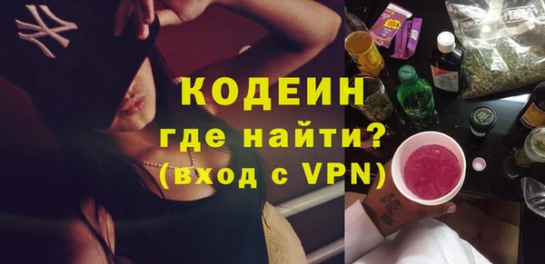 индика Балахна