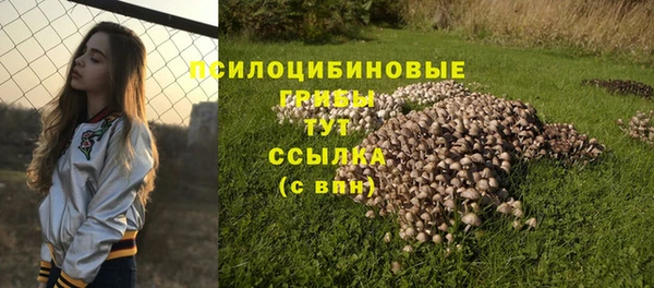 МДПВ Балабаново