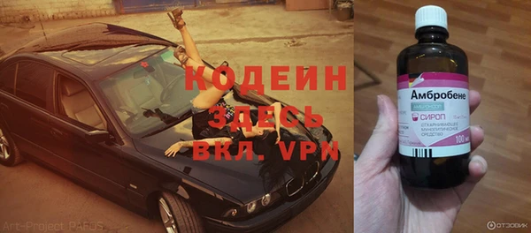 индика Балахна