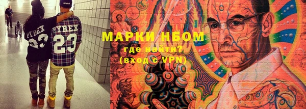 индика Балахна