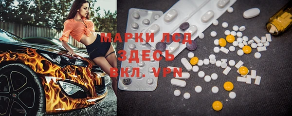 индика Балахна