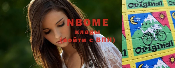 индика Балахна